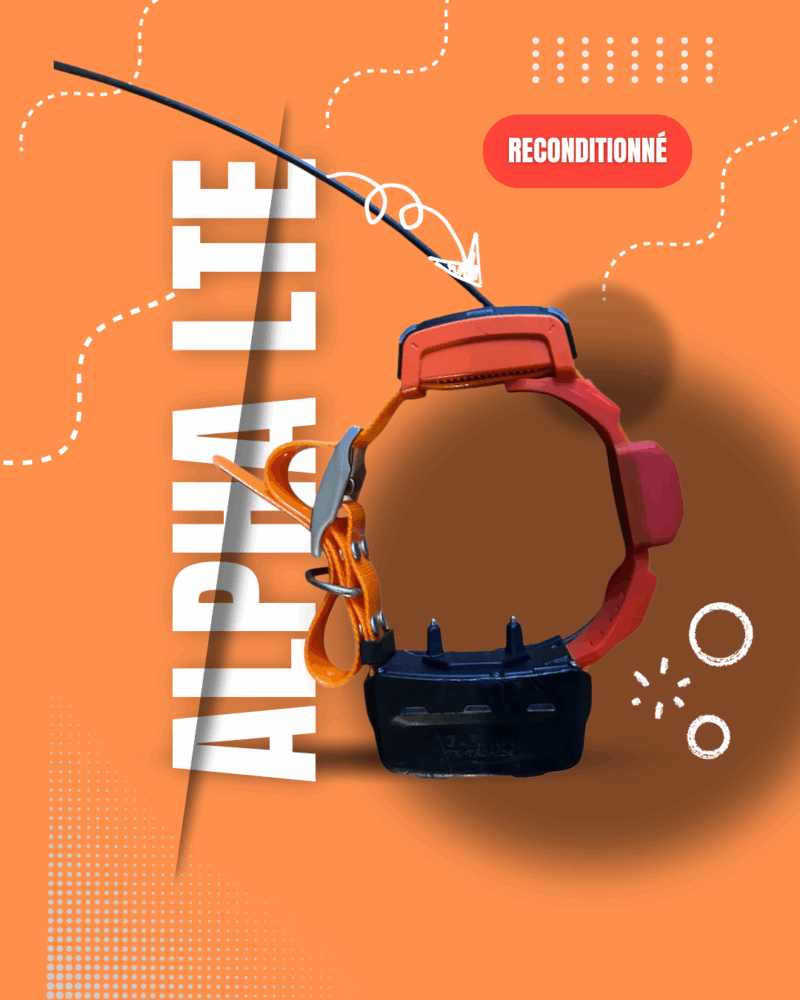 Alpha LTE reconditionné
